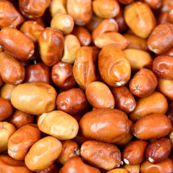 İğde - Görsel 2