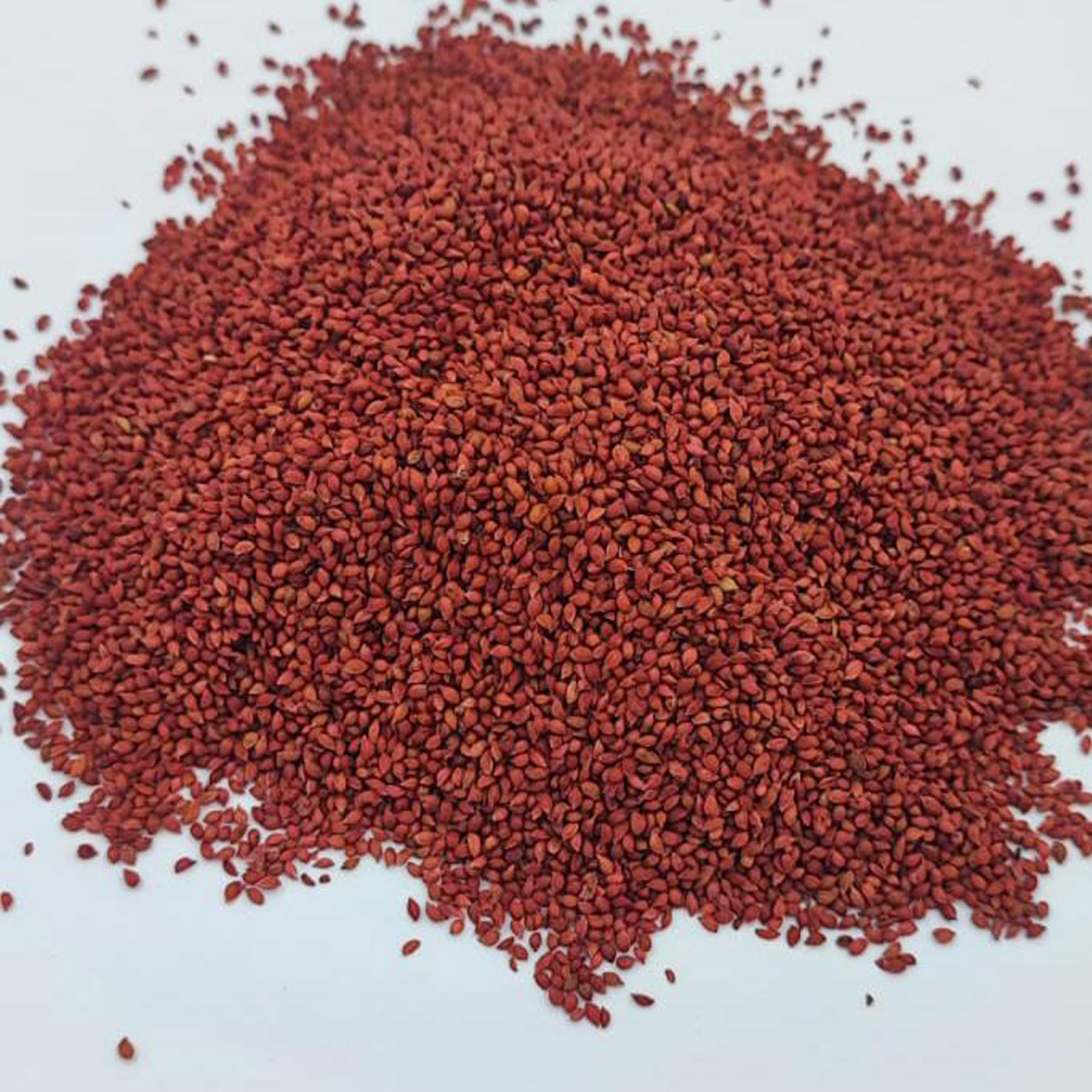 cranberry-seeds Cranberry Çekirdeği - Görsel 1